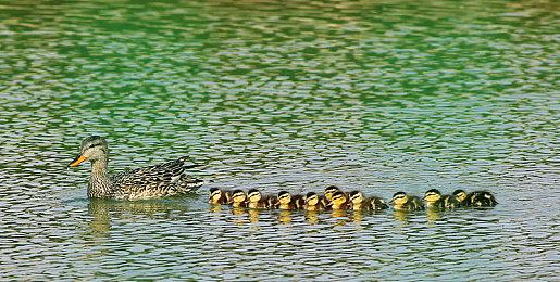 传微软4A级工作室人才流失严重 过去一年走了34人